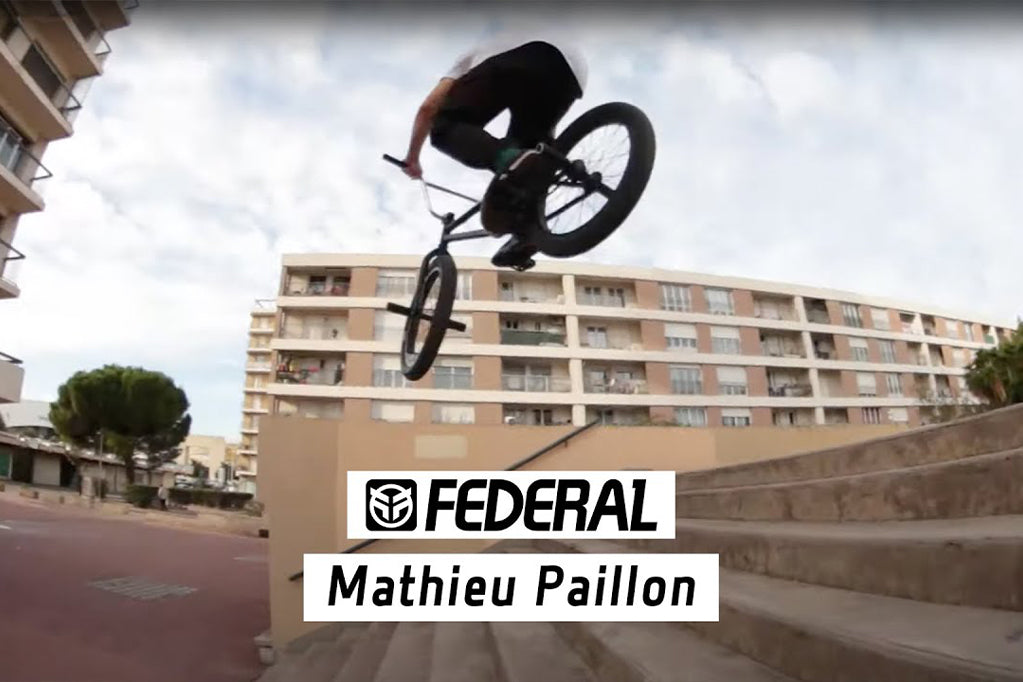 Mathieu Paillon - Welcome to the Family